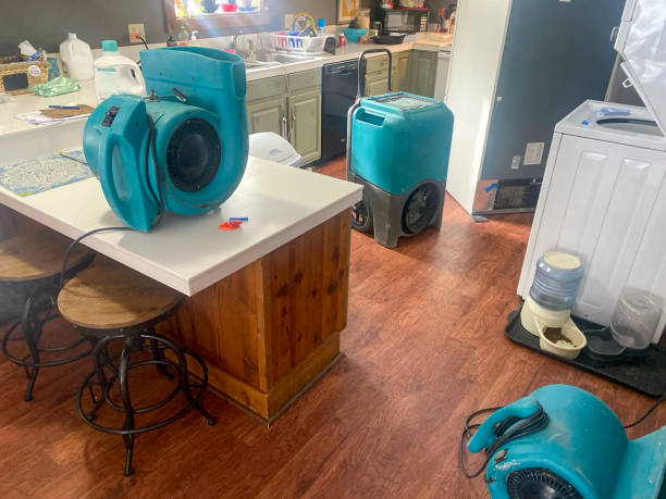 Best Basement water damage restoration  in Crestline, OH