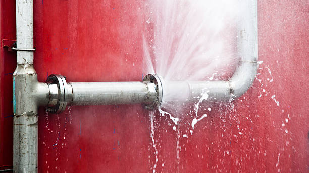 Best Water damage contractors near me  in Crestline, OH